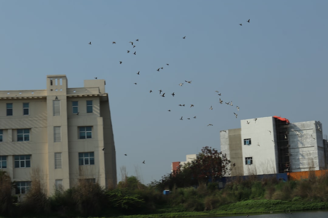 Photo Cricket stadium